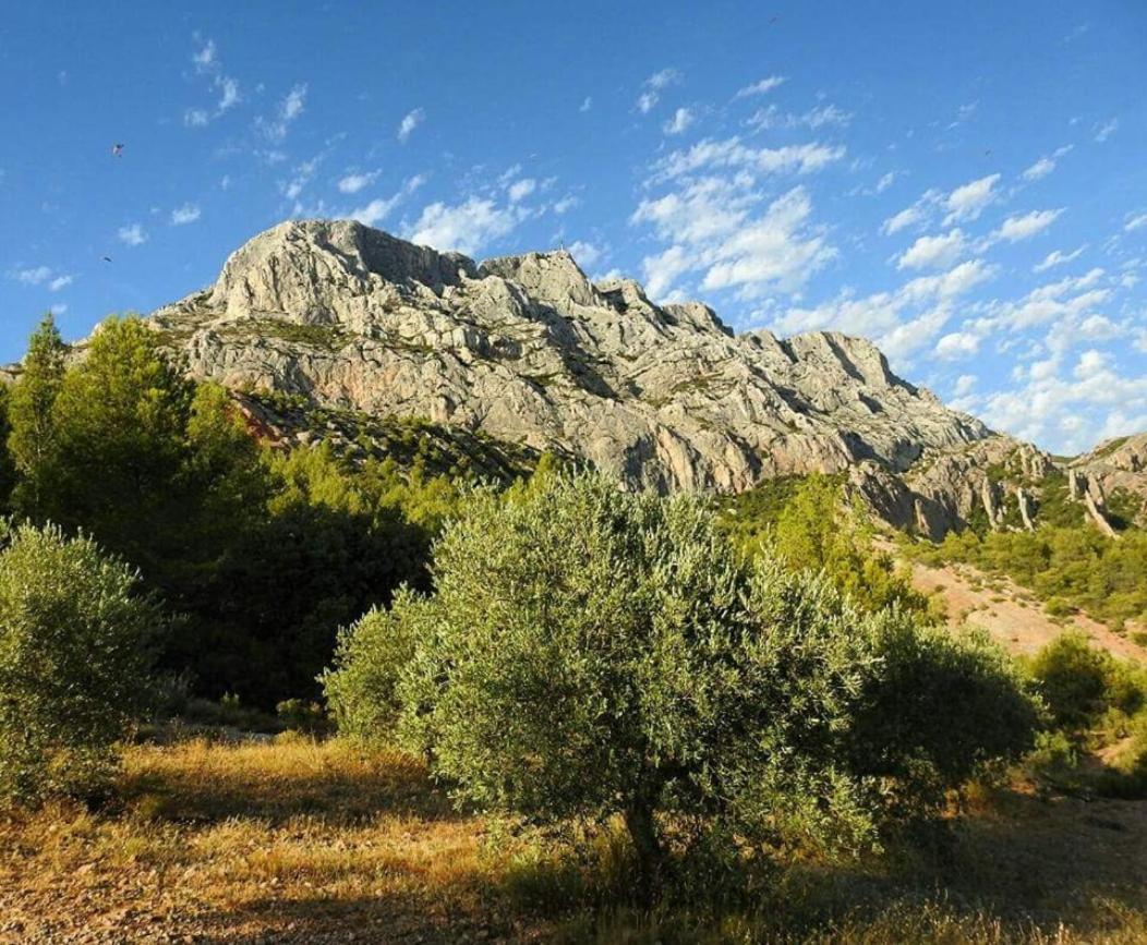 Chambre D'Hotes Le Secadou La Ciotat Buitenkant foto